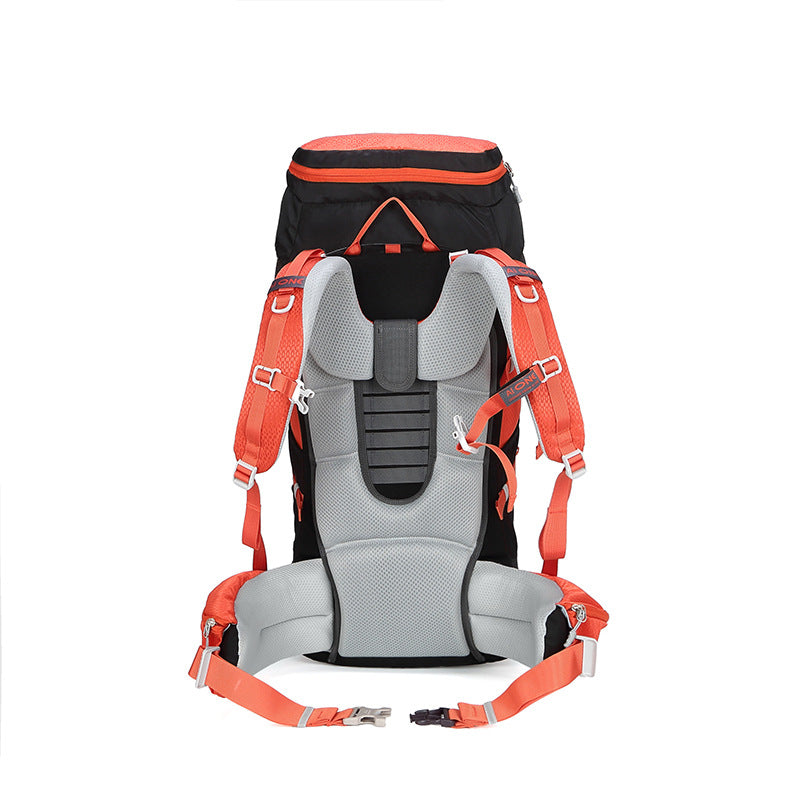 Pretty Stylish Hiking Bearing System Professional Backpacks