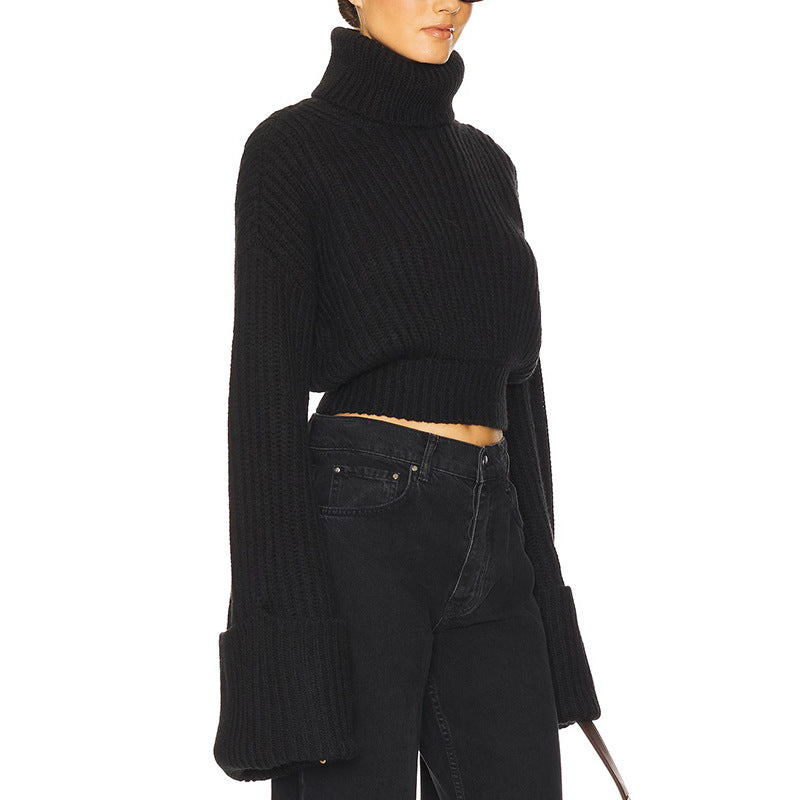 Women's Turtleneck Simple Style Comfort Casual Design Sweaters