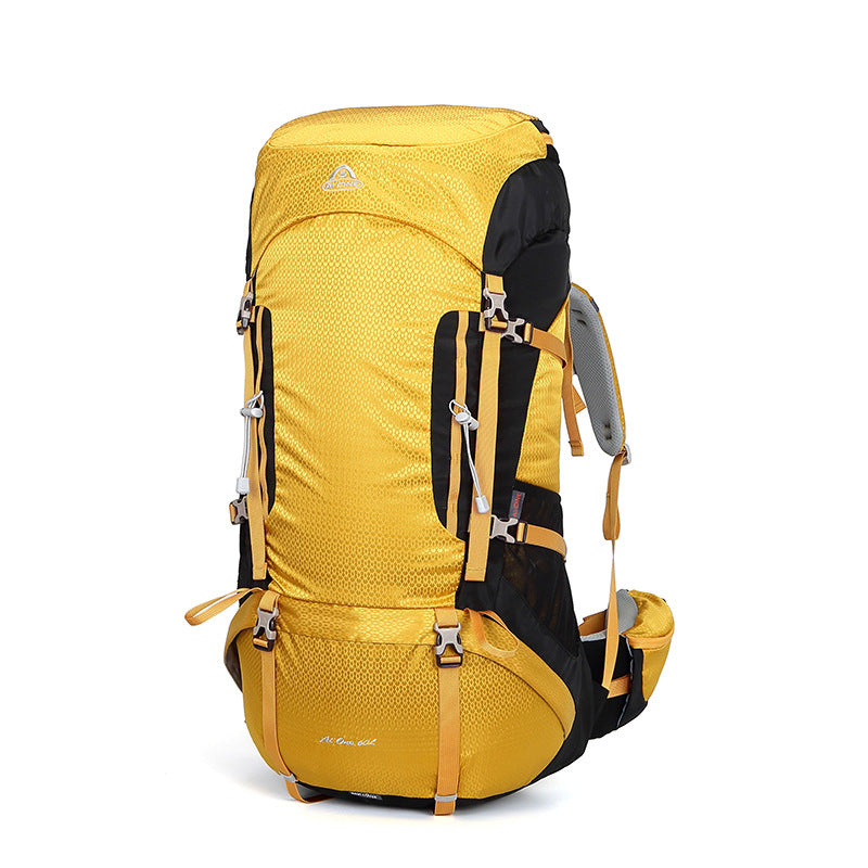 Pretty Stylish Hiking Bearing System Professional Backpacks