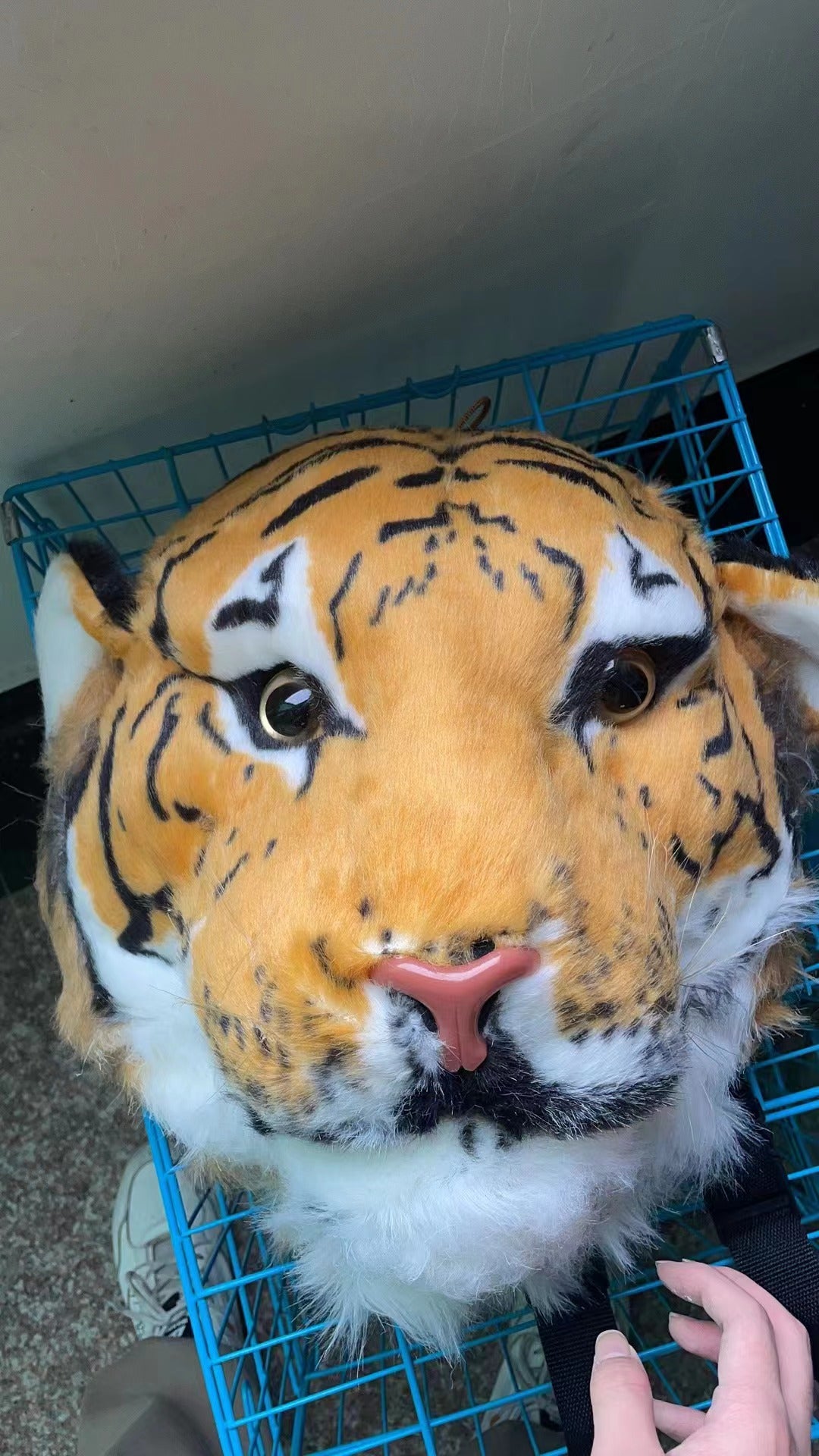 Creative Personality Tiger Head Street Trend Backpacks