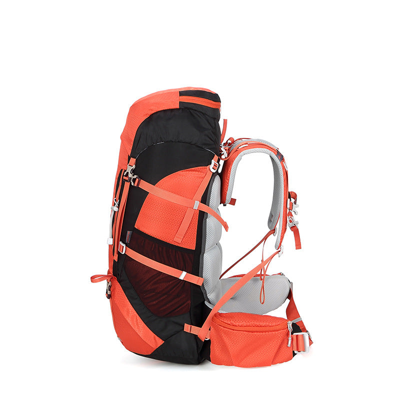 Pretty Stylish Hiking Bearing System Professional Backpacks