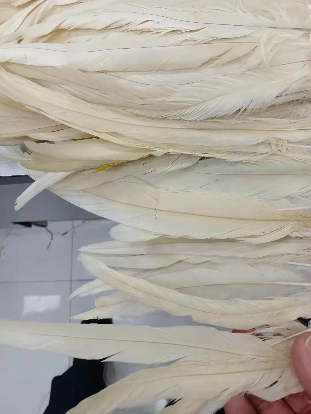 Women's Fashion Wear Sexy Waist Trimming Dress Dresses