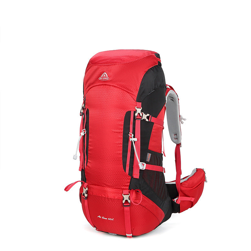 Pretty Stylish Hiking Bearing System Professional Backpacks