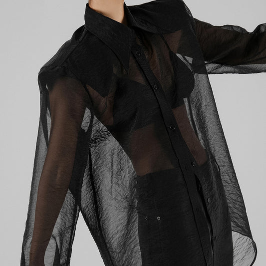 Women's Elegant Sexy Mesh Long Sleeve Shirt Blouses