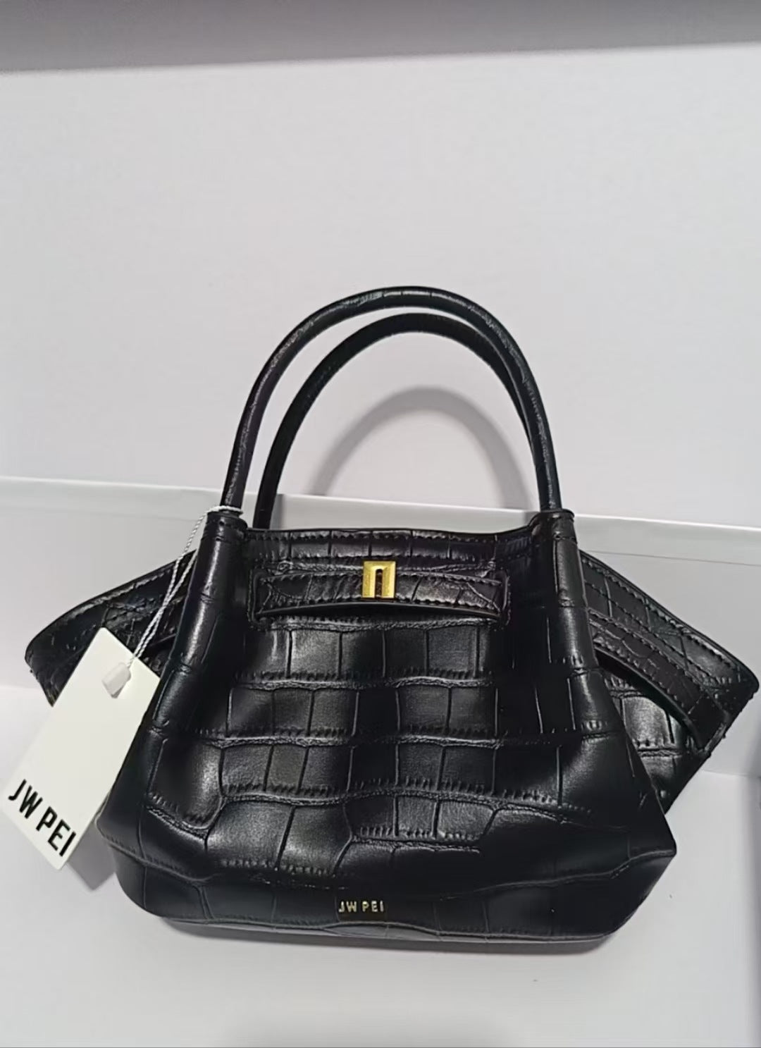 Classy Cool Beautiful Women's Dumpling Large Crossbody Bags