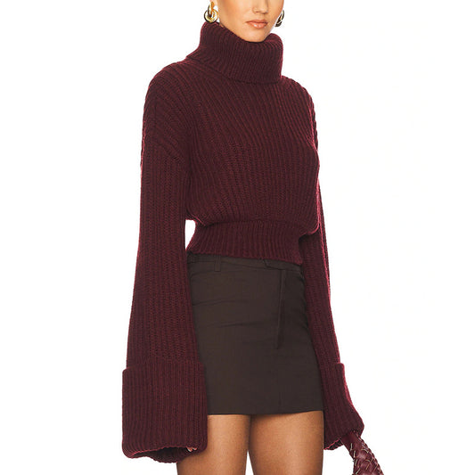 Women's Turtleneck Simple Style Comfort Casual Design Sweaters
