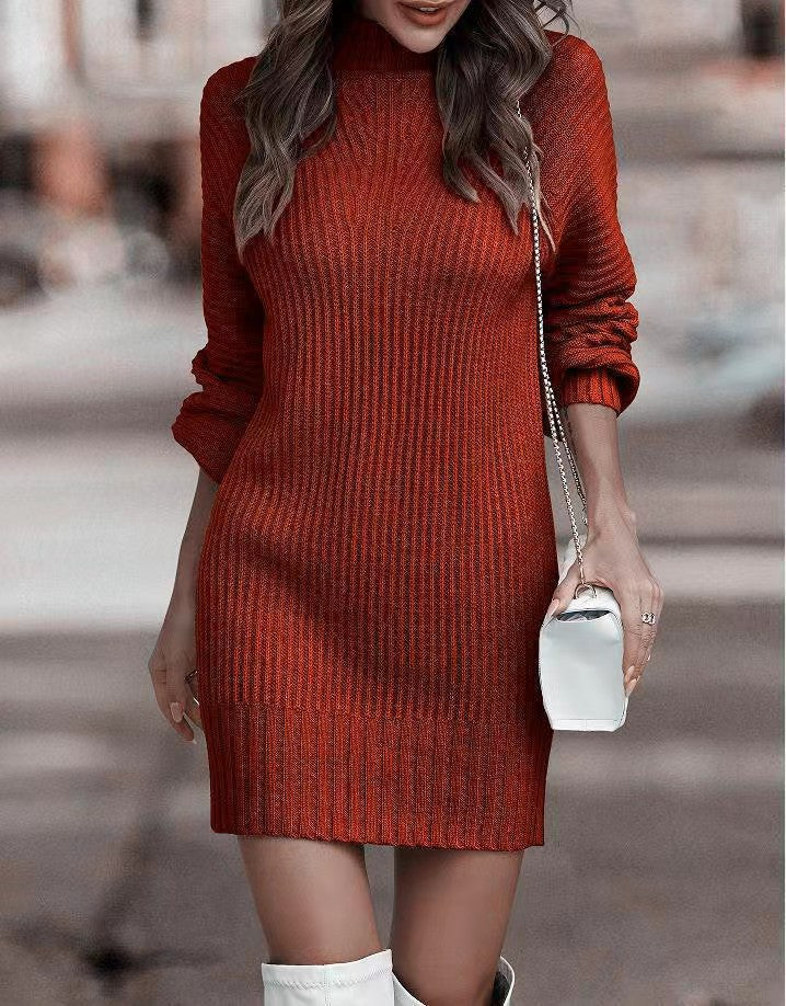 Women's Attractive Turtleneck Long Sleeve Dress Dresses