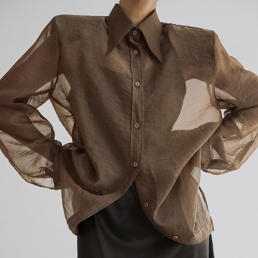 Women's Elegant Sexy Mesh Long Sleeve Shirt Blouses