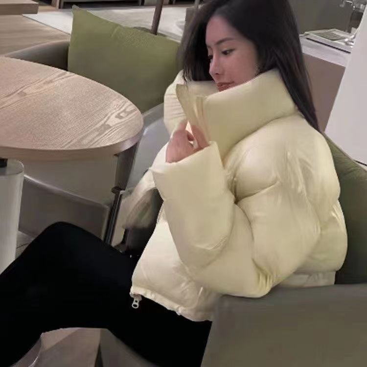Women's Korean Style Thickening Stand Collar Fashionable Coats