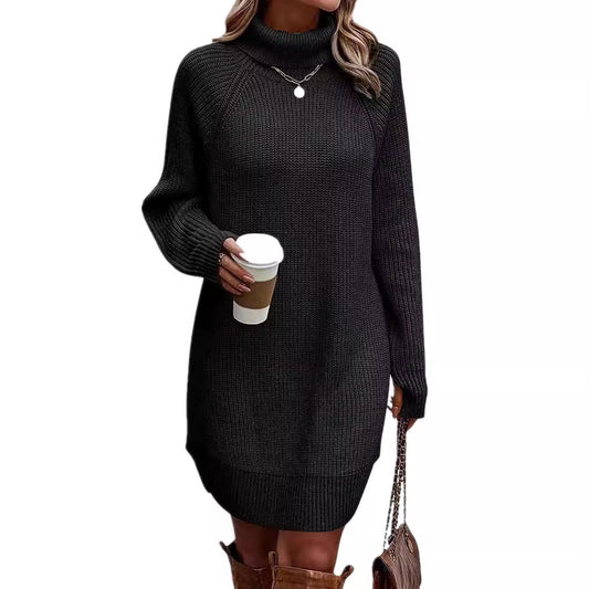 Women's Fashionable With Pullover High Collar Dress Sweaters