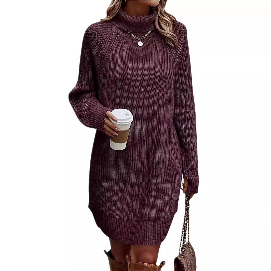 Women's Fashionable With Pullover High Collar Dress Sweaters