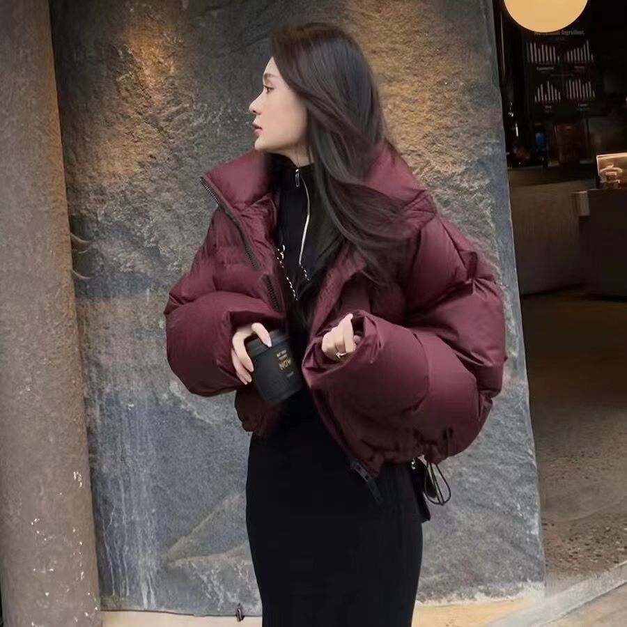 Women's Korean Style Thickening Stand Collar Fashionable Coats