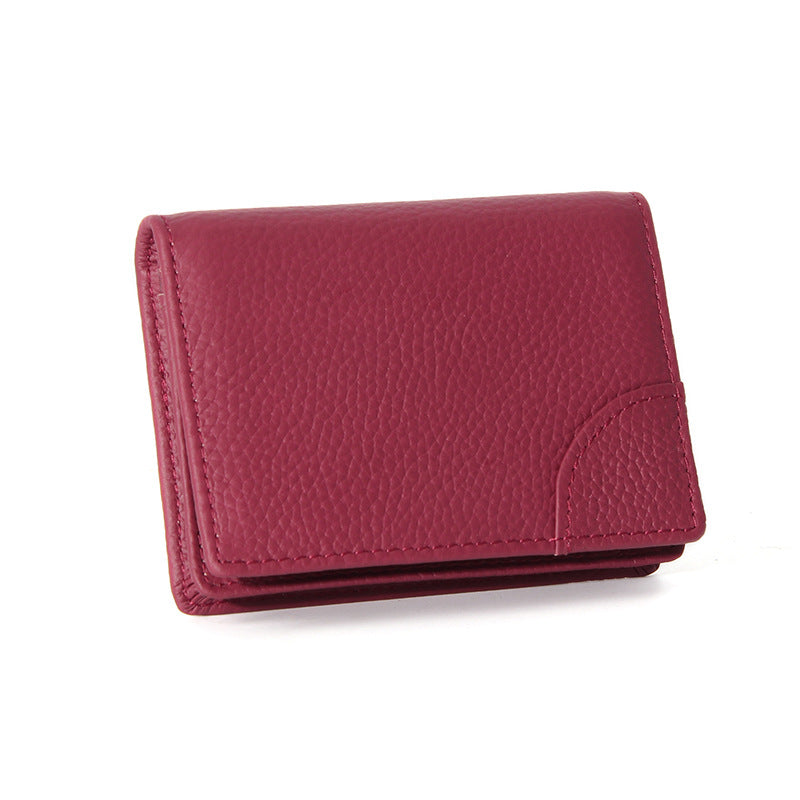 Light-weight Thin Simple Large Capacity Certificate Card Holder