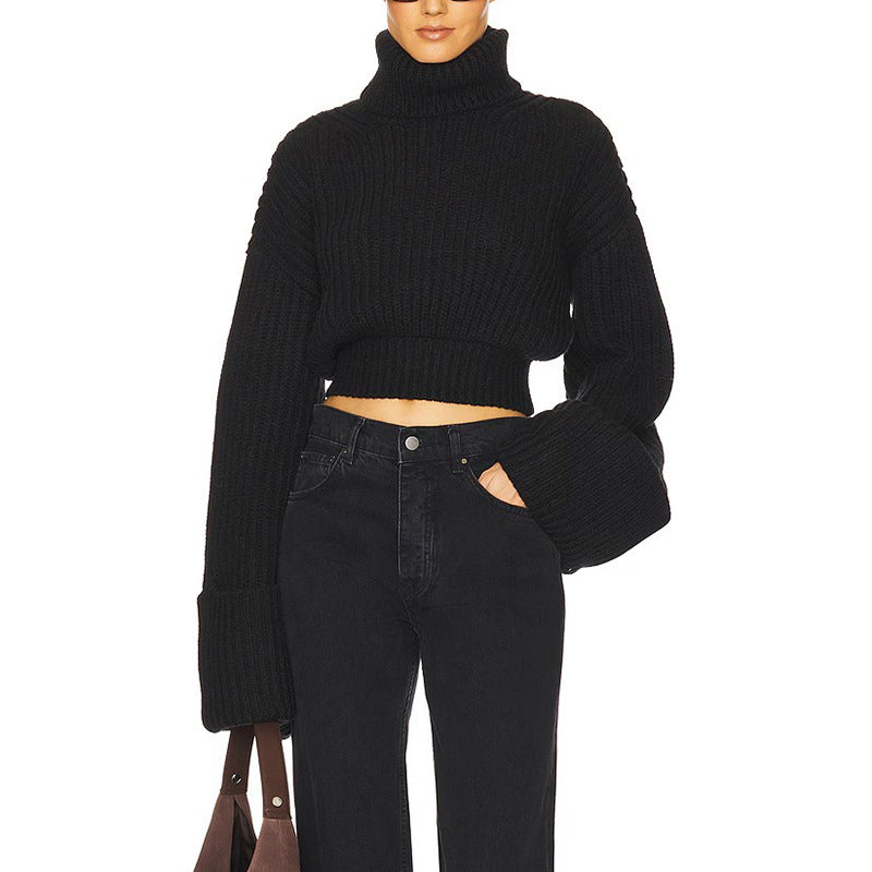 Women's Turtleneck Simple Style Comfort Casual Design Sweaters