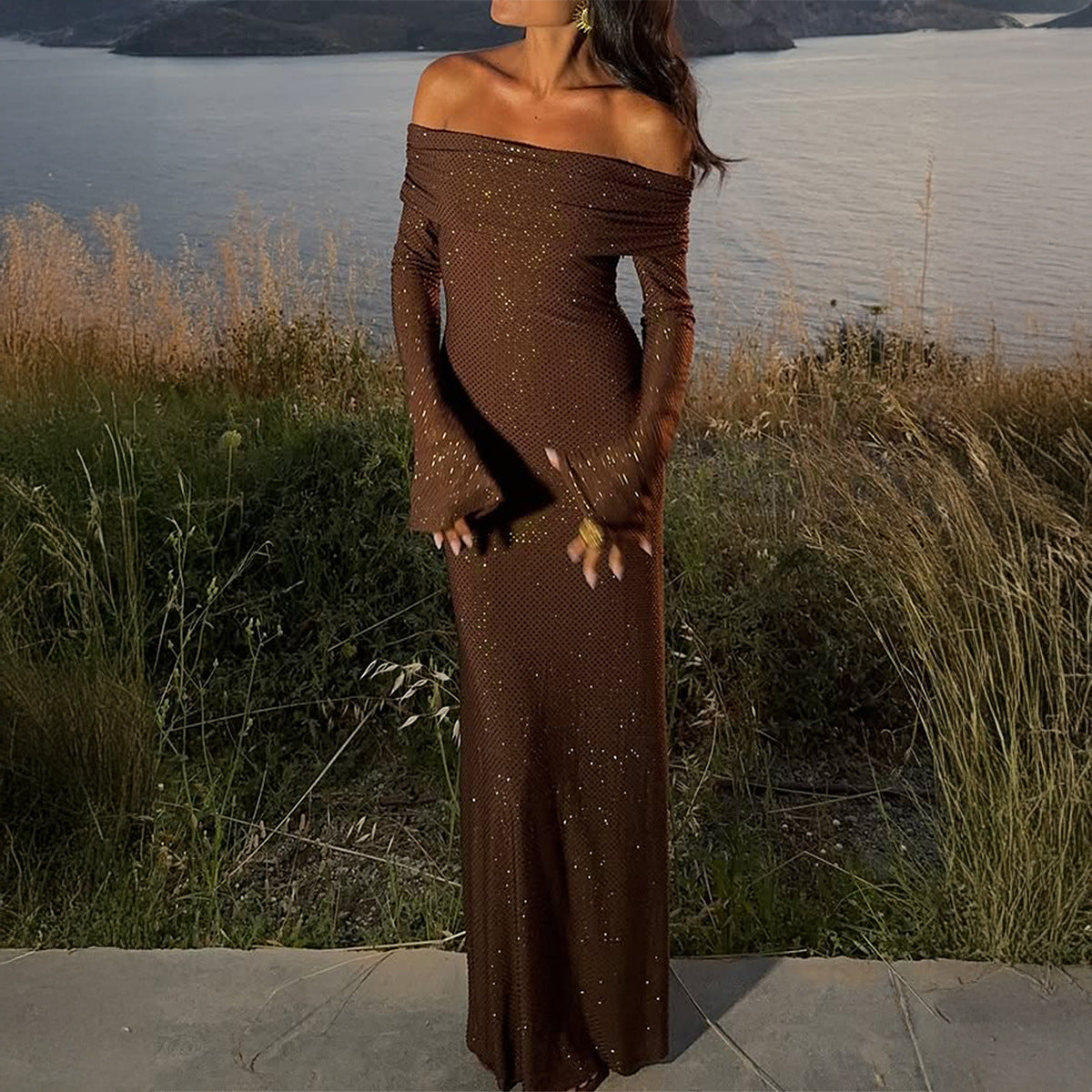 Women's Elegant Solid Color Long Sleeve Dress Dresses