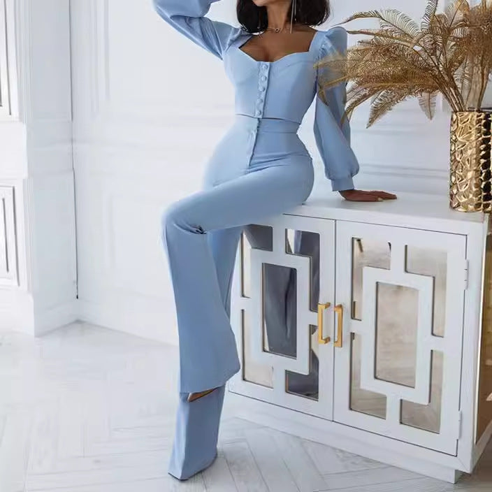 Women's Spring Casual Court Style Bishop Sleeves Suits